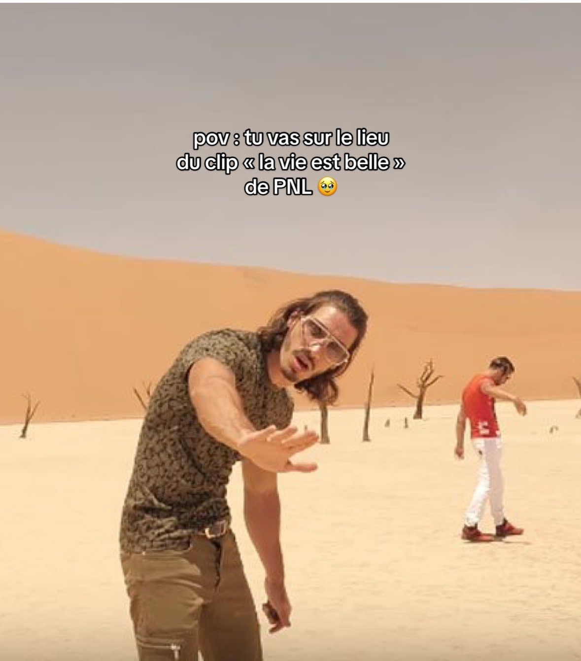 J’ai marché dans un décor que j’avais vu qu’à travers un clip. La vie est (vraiment) belle 🥹🙏🏼 📍 Deadvlei, Namibia  #pnl #lavieestbelle #namibie #travelvideo @pnlmusic 