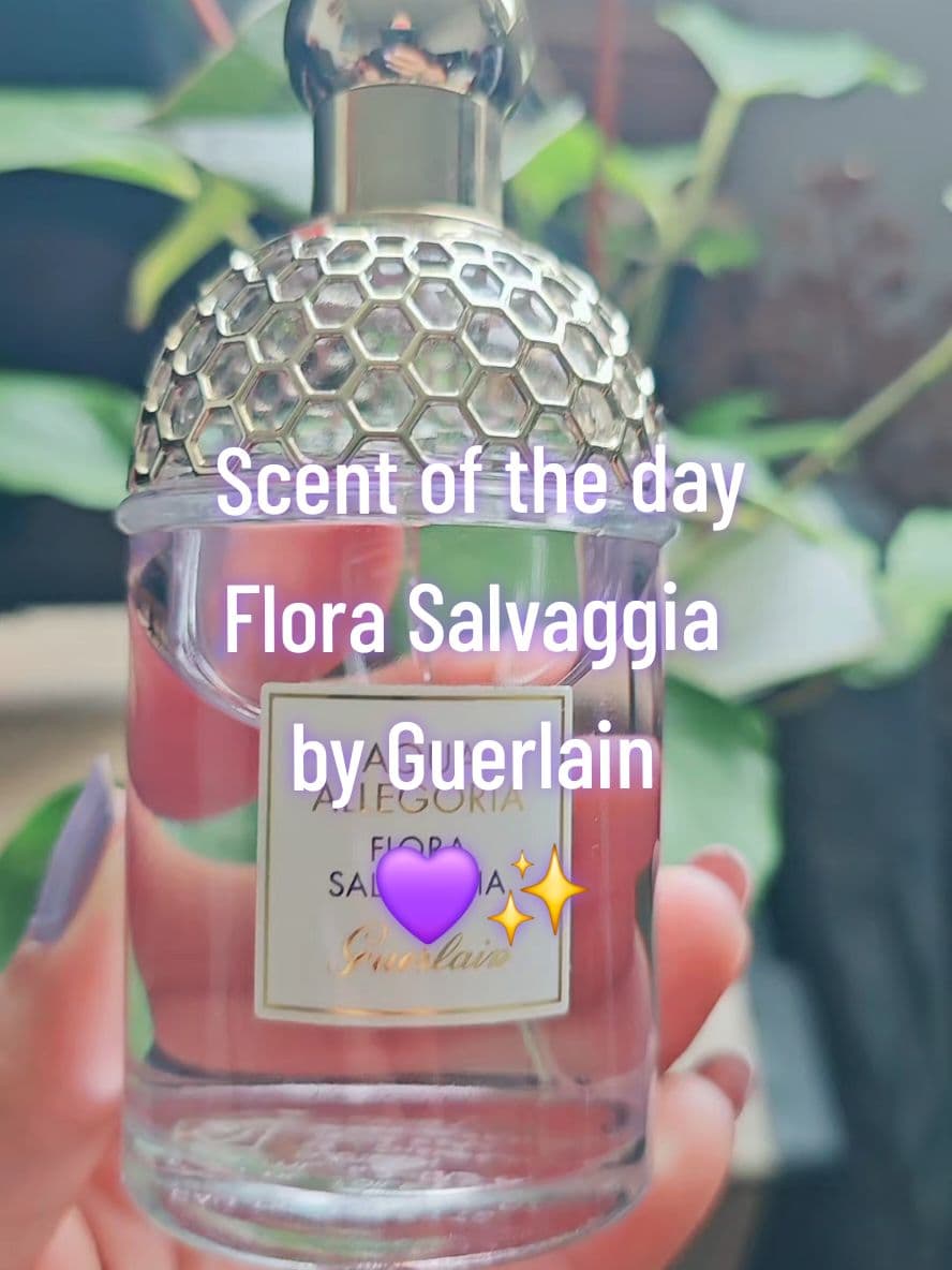 💜Scent of the day💜 Flora Salvaggia @Guerlain  🪻 A light, sweet, romantic and revitalising fragrance that blends watermelon with iris, violet, and white flowers♡ Such a refreshing scent 🤍🍉 💜 #sotd #scentoftheday #florasalvaggia #guerlain #perfumetiktok #creatorsearchinsights  #romanticperfume #fragrancefinder #lovelyscents #perfumeaddict #aquaallegoria #perfumetok #fyp #pourtoi 