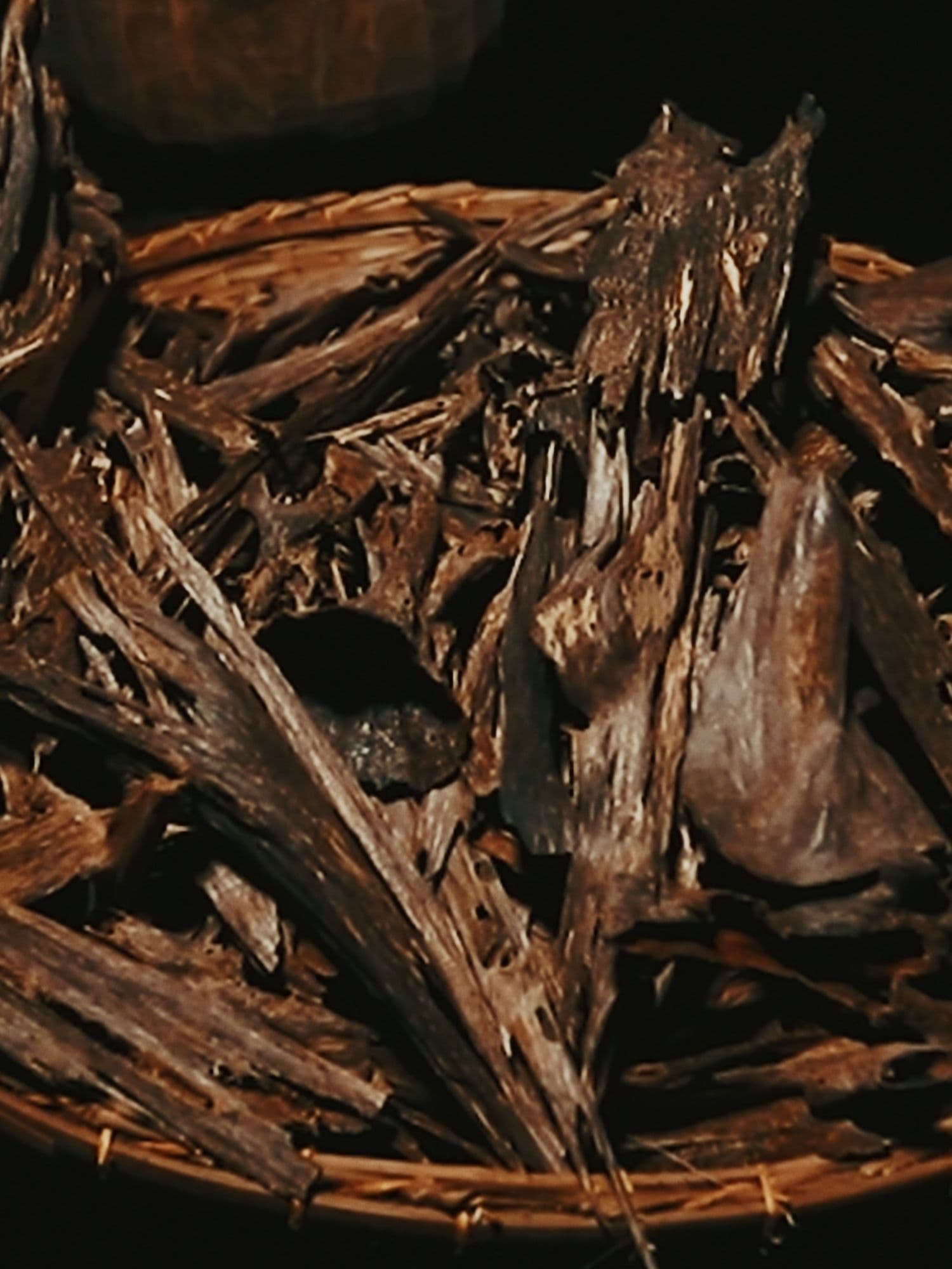 The 80-year-aged oud that lies at the soul of Oud Zarian is a one-of-a-kind treasure, thoughtfully cultivated by The House of Creed’s trusted partner Jalali Agarwood from trees hidden in the depths of the Sylhet forests.   Owing to its own generational ethos as well as its shared longstanding commitment to craftsmanship, The House of Creed is among the fortunate few granted access to this highly sought-after essence, having been entrusted with creating an oud fragrance that would honour its unequalled rarity. From here, the legend of Oud Zarian was born.  Discover Oud Zarian online or in-store at your nearest Creed boutique.  #OudZarian #TheHouseofCreed