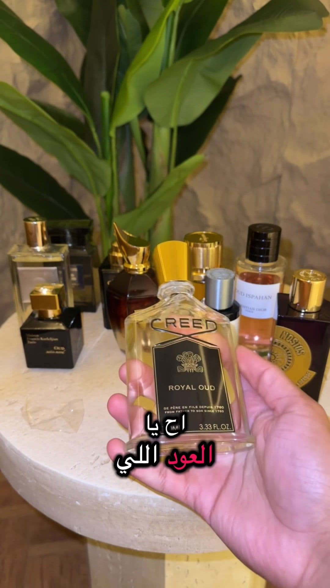 “أساطير عطور العود العالمية 🔥 وأولهم Creed Royal Oud 👑✨… مين برأيك يستحق لقب الأقوى؟” #عطور #رابطة_عشاق_العطور #عطورات_فاخرة #Creed #RoyalOud    