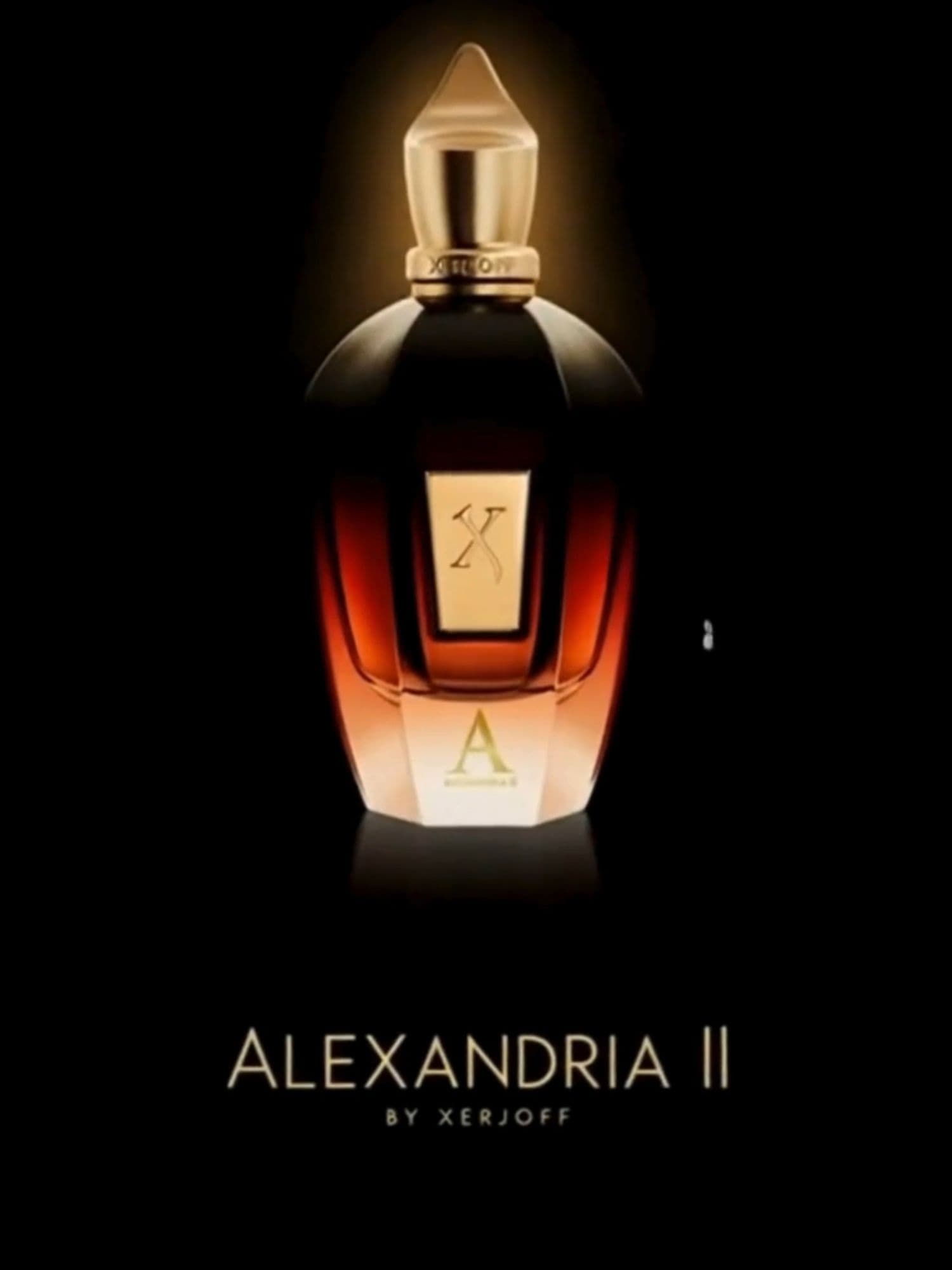 Xerjoff Alexandria II — regal woody-amber with a silky vanilla trail. Opulent yet effortless—the one that lingers. — link in bio. Myscentara.com زيرجوف ألكسندريا II — عنبر خشبي فاخر مع أثر فانيلا حريري. فخامة بلا تكلّف وتدوم في الذاكرة. تسوّق أو جرّب اختبار ٣٠ ثانية — الرابط في البايو. #perfumes #perfume #perfumecollection #fragrance #perfumelovers #parfum #fragrances #perfumeaddict #scent #perfumesimportados #perfumeshop #perfumelover #scentoftheday #fragrancelover #fragancias #perfumery #eaudeparfum #fashion #fragrancecollection #perfumesmasculinos #perfumeoriginal #perfumesfemininos #perfumesoriginales #scents #perfumeria #perfumaria #xerjoff #xerjoffalexandriaii