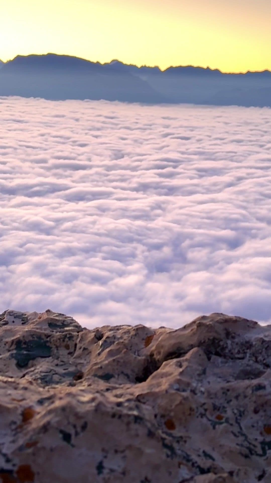 Aucun mot ne peut décrire ce que mes yeux ont vu… 🌄😍 merci @Bilel Mcharek ⭐️ #leverdesoleil #fyp #pourtoii 