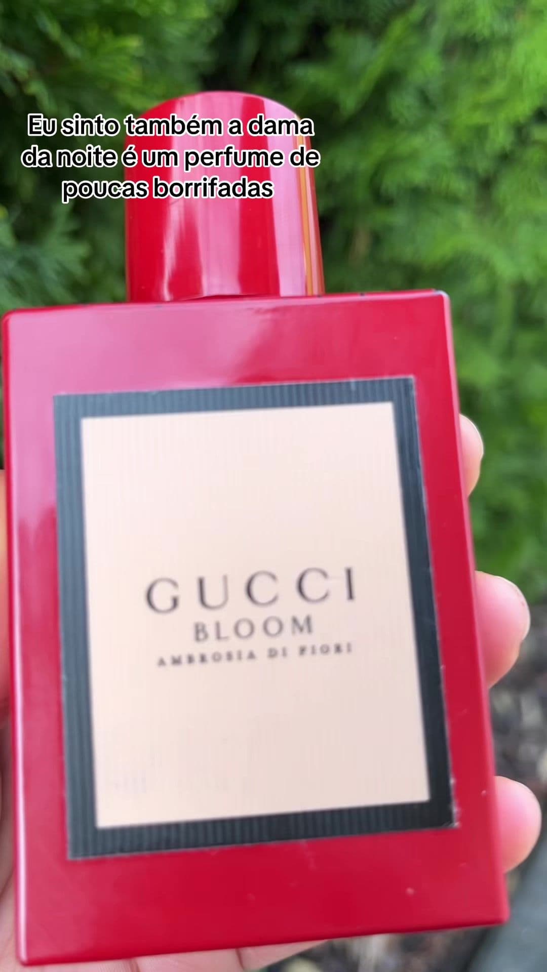 💫 Perfume do dia: Gucci Bloom Ambrosia di Fiori 🌺✨ Um perfume que divide opiniões — alguns o acham intenso demais, outros o consideram simplesmente divino. Mas quem entende o poder das flores brancas sabe: aqui não existe exagero, existe magia. 💐 Notas oficiais: 	•	Topo: Jasmim Sambac, Madressilva 	•	Coração: Tuberosa, Dama da Noite (nota fantasma 🌙) 	•	Fundo: Orris (raiz de íris) e Rosa Damascena Apesar de a dama da noite não estar listada oficialmente, ela se manifesta como uma nota fantasma — aquele toque misterioso, noturno e adocicado que faz o perfume parecer vivo, respirando, exalando beleza nas sombras. ✨ Sensação olfativa: É como caminhar por um jardim à meia-noite, cercada por flores que se abrem apenas no escuro. Um aroma sedutor, envolvente e espiritual — quase uma oferenda aos deuses. 🔥 Fixação: Muito forte (8–10h na pele) 🌪 Projeção: Alta — deixa um rastro luxuoso e marcante. E o nome “Ambrosia” não foi escolhido à toa: na mitologia grega, era o néctar dos deuses, a poção da imortalidade. Então, não, ele não cheira a cemitério — ele cheira à eternidade. Um perfume para quem não teme deixar sua marca no ar. 🌹⚡️ Esse é o meu perfume do dia 	 #perfumes  #GucciBloomAmbrosia #PerfumeMarcante #perfumetiktok  #perfumedodia 