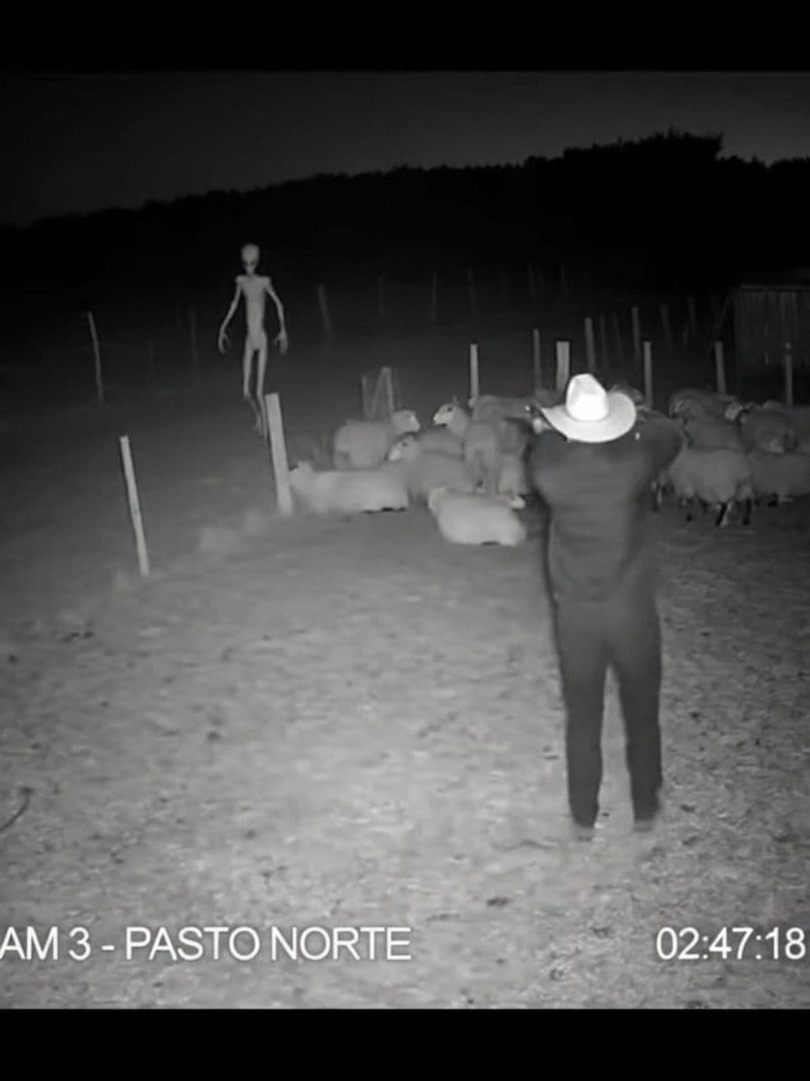 Calma meninas.kk #ia #cometa #alien #viral 