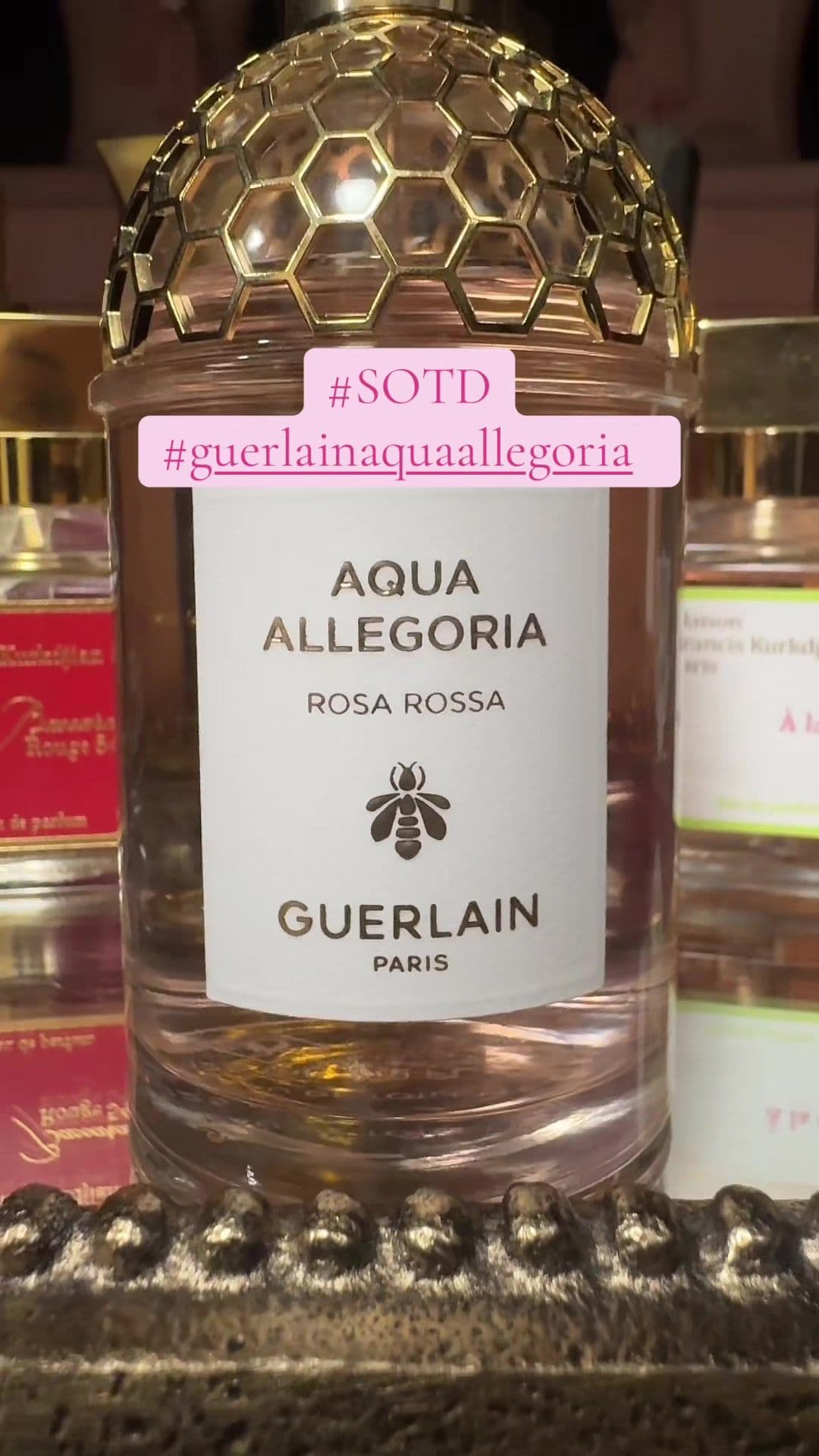 #SOTD Guerlain Aqua Allegoria: Rosa Rossa. A radiant mix of fresh roses, juicy lychee, and soft musk that feels like sunshine on silk. Effortlessly feminine, modern, and timeless. #guerlain #scentvious #perfumetok 