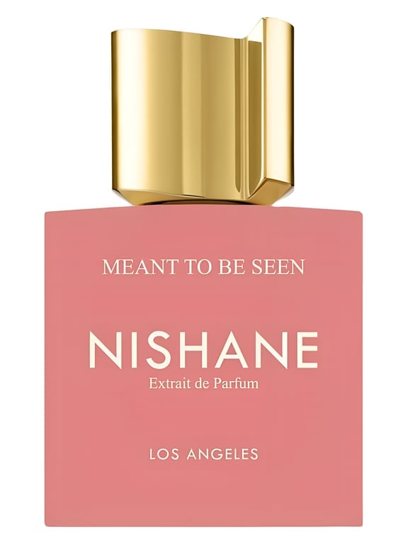 Nishane Meant To Be Seen Nishane - luxury perfume bottle