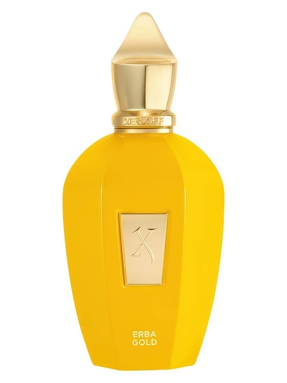 Xerjoff Erba Gold - similar luxury perfume with 62% match
