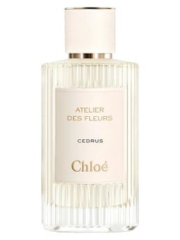 Chloé Atelier des Fleurs Cedrus