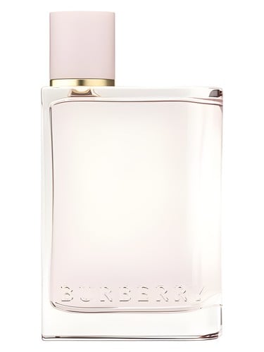 Burberry Burberry Her - luxury perfume bottle