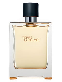 Hermès Terre d'Hermès
